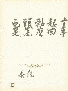 龟头勃起有红点是怎么回事