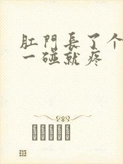 肛门长了个肉球一碰就疼