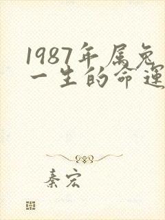 1987年属兔一生的命运怎么样