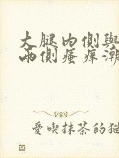 大腿内侧与阴囊两侧瘙痒潮湿发黑封面