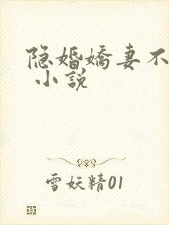 隐婚娇妻不好惹 小说