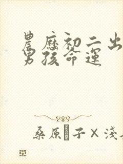 农历初二出生的男孩命运封面