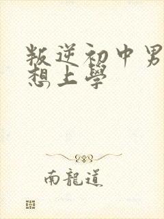 叛逆初中男孩不想上学