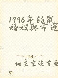 1996年的鼠婚姻与命运