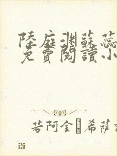 陆庭渊苏蕊全文免费阅读小说封面