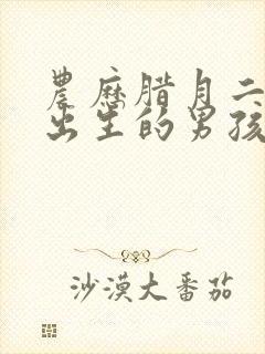 农历腊月二十五出生的男孩命运怎么样