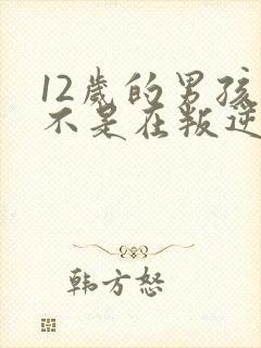 12岁的男孩是不是在叛逆期封面