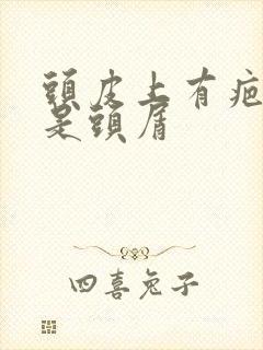 头皮上有疤一扣是头屑