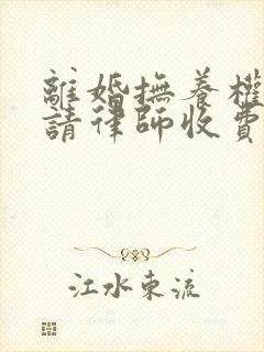 离婚抚养权官司请律师收费