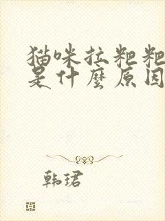 猫咪拉粑粑有血是什么原因