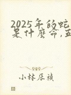 2025年的蛇是什么命,五行属性