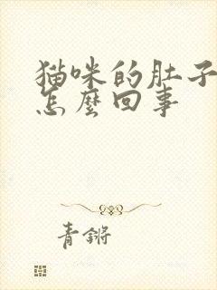 猫咪的肚子大是怎么回事封面