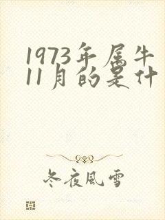 1973年属牛11月的是什么命封面