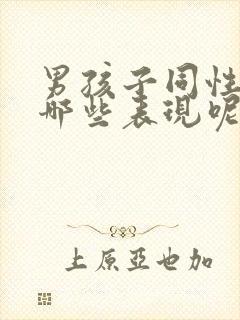 男孩子同性恋有哪些表现呢封面