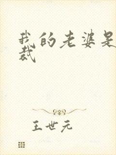 我的老婆是女总裁