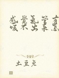 感觉气管有痰又咳不出来怎么办?