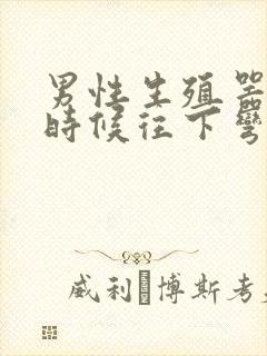 男性生殖器硬的时候往下弯