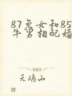 87兔女和85牛男相配婚姻如何