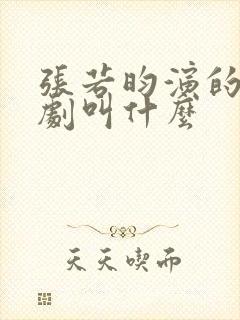 张若昀演的穿越剧叫什么