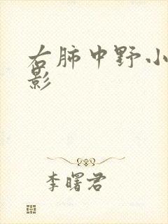 右肺中野小结节影