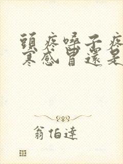 头疼嗓子疼是风寒感冒还是风热感冒封面