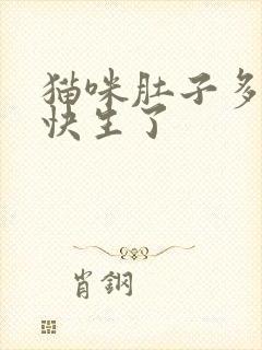 猫咪肚子多大是快生了封面