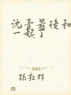 沈青最后和谁在一起了封面