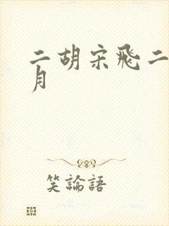 二胡宋飞二泉映月