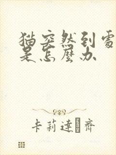 猫突然到处乱尿是怎么办