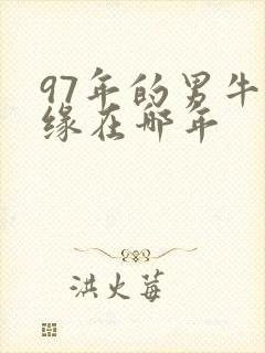 97年的男牛姻缘在哪年