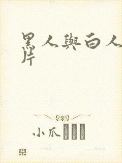 黑人与白人一级片封面