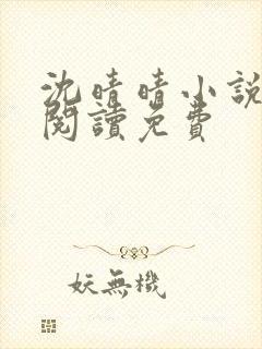 沈晴晴小说在线阅读免费