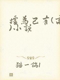 据为己有(高干)小说