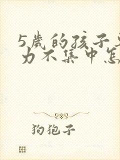 5岁的孩子专注力不集中怎么办