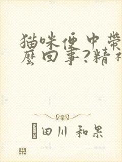 猫咪便中带血怎么回事?精神很好