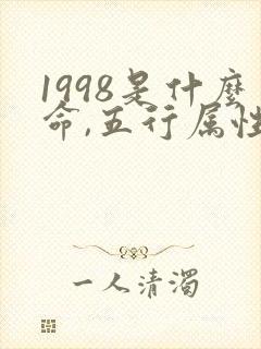 1998是什么命,五行属性