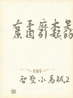 右手麻木是什么原因引起的封面