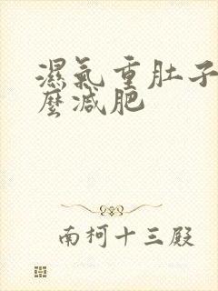 湿气重肚子大怎么减肥