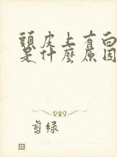 头皮上有白点点是什么原因?