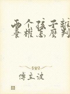 两个孩子离婚抚养权怎么判定标准