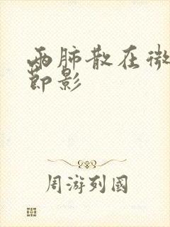 两肺散在微小结节影