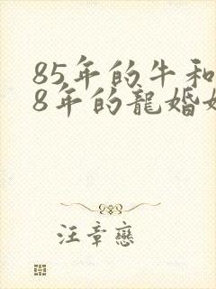 85年的牛和88年的龙婚姻怎么样