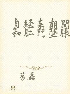 月经来期间小腹和肛门坠胀是什么原因封面