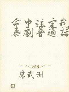 命中注定我爱你泰剧普通话封面