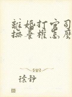 离婚打官司孩子抚养权怎么划分