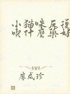 小猫咪反复尿闭吃什么药好