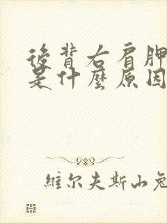 后背右肩胛骨痛是什么原因