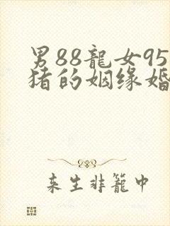 男88龙女95猪的姻缘婚配