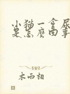 小猫一会尿一点是怎么回事封面