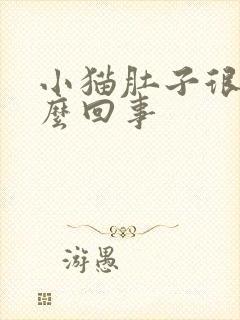 小猫肚子很鼓怎么回事封面